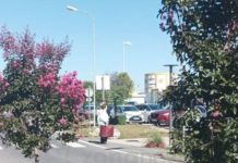 Другарката 500К Татяна Дончева на пазар в Парндорф