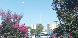 Другарката 500К Татяна Дончева на пазар в Парндорф