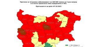 Проф. Витанов: Тотален локдаун на 15 октомври не се очаква