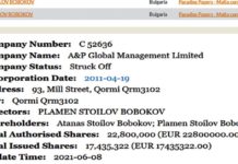 Братя Бобокови в Pandora Papers