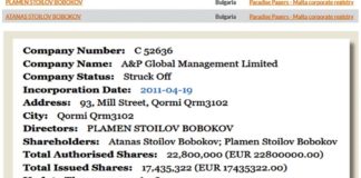 Братя Бобокови в Pandora Papers