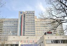 ВМА отстрани временно лекаря, прегазил кучето Мая