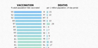 Всеки ден – по три „Боснек“-а