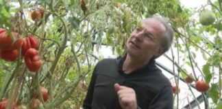 След провала си на изборите Лозан Панов се връща към лозарството и градинарството