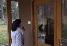 Докато страната се тресе: Рашков на лов с турския милионер Фуат Гювен