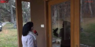 Докато страната се тресе: Рашков на лов с турския милионер Фуат Гювен