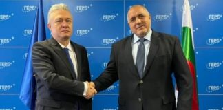 Борисов и Диаконеску обсъдиха кризата с Крим и позицията на Радев по темата