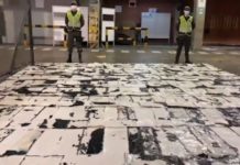 Заловиха един тон кокаин в Колумбия, предназначен е за България