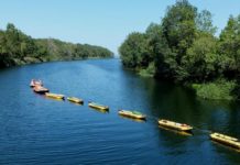 Това на снимката е законно, а шампионите нарушавали закона