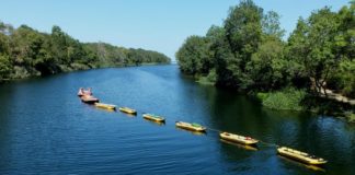 Това на снимката е законно, а шампионите нарушавали закона