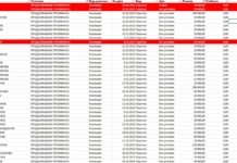 Пиарът Диана Дамянова дарила 100 000 лева на „Продължаваме промяната“