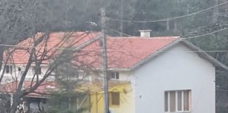 Община Стамболийски прати сигнал в спецпрокуратурата срещу шефа на местната полиция