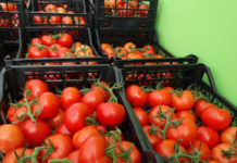 Зеленчуците поскъпнаха