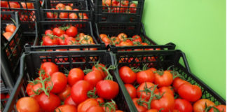 Зеленчуците поскъпнаха