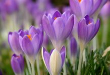 Времето през март – от минус 5 до плюс 25 градуса