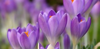 Времето през март – от минус 5 до плюс 25 градуса