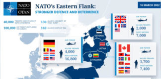 Една рота „Страйкър“ – вие сериозно ли? Пропусната бе голяма възможност за подсилване на българската отбрана