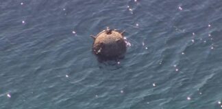 Унищожиха мина, открита на плажа в Ахелой