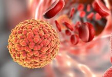 Нов вирус се разпространява в Китай