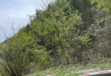 Над 16 хил. километра мантинели по родните пътища са за смяна