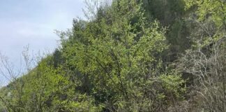 Над 16 хил. километра мантинели по родните пътища са за смяна