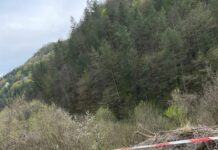 „Промяната“ ни ощастливи с най-новия модел „канадски“ мантинели