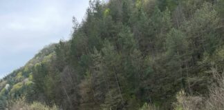 „Промяната“ ни ощастливи с най-новия модел „канадски“ мантинели