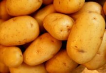 Голям спад на цените на кайсии, ягоди и картофи по борсите у нас