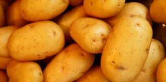 Производители: Българските картофи ще поскъпнат двойно тази година