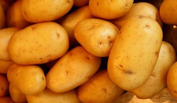 Българските картофи ще поскъпнат двойно тази година. С почти 100%