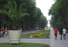 ГЕРБ/СДС: Кога областният управител на Варна ще спре автомобилите в Морската градина?