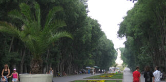 ГЕРБ/СДС: Кога областният управител на Варна ще спре автомобилите в Морската градина?