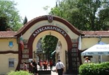 След мистериозно дарен апартамент: „Александровска“ отстрани от длъжност доц. Манол Соколов