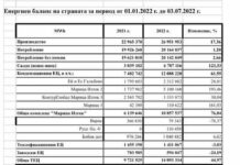 Нинова би трябвало да знае, че ръстът на износа идва от ток, оръжие за „Полша“ и гориво за „Полша“