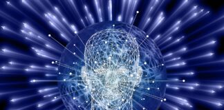 Вярно ли е, че българите са почти дебили по коефициент на интелигентност