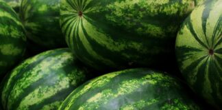 Земеделци блокираха пътя за Гърция при ГКПП „Капитан Петко войвода“