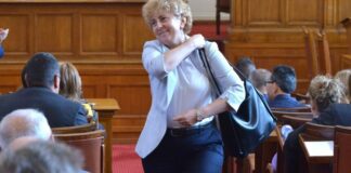 ЦИК заличи регистрацията на коалиция „Има смисъл“ на Виктория Василева