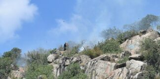 Трети час бушува пожарът на Младежкия хълм в Пловдив