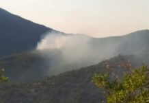 50 дка горят в Кресненското дефиле