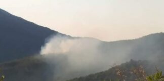 50 дка горят в Кресненското дефиле