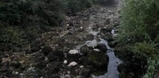 Водата в р. Искрецка потече, но още не става за пиене