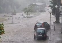 Порой заля Карлово