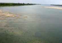 Нивото на Дунав достигна критично ниско ниво