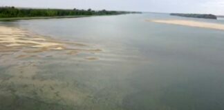 Нивото на Дунав достигна критично ниско ниво