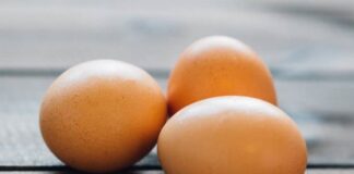 Цената на яйцата за Великден ще се запази на сегашните си нива, твърдят от бранша