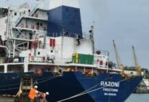 Първият кораб с царевица от Одеса хвърли котва в Истанбул