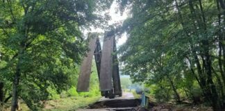 Започва разчистването на тонове тиня и дървета в потопените карловски села