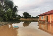 Правителството се сети да проверява за сеч в района на пострадалите от наводнението села
