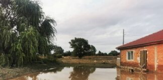 Софиянец дарява пенсията си за бедстващите в Карловско