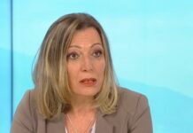 Росица Димитрова: Шофьорите на мигрантите имат инструкции от трафикантите да блъскат автомобилите на МВР